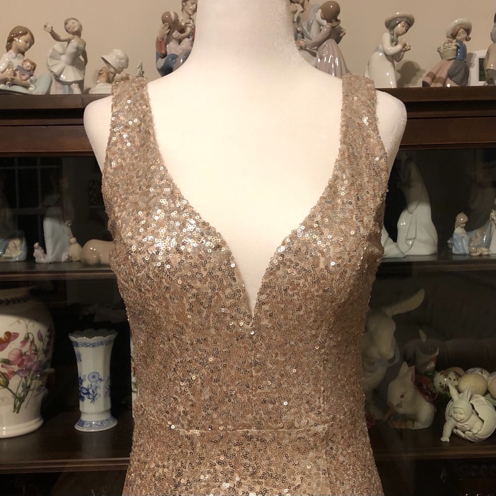 NWOT Sequined Champagne Pink Full Length Gown Sz 3